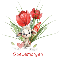 Goede morgen