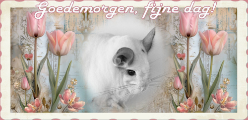 Fijne dag