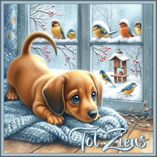 winterHondTotziens.…