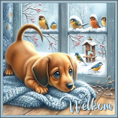 winterHondWelkom.jpg