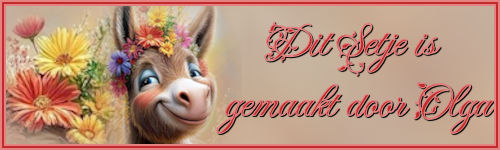 2026-04-Nhuisje-Olg&Atilde;&AElig;&Atilde;&Acirc;&cent;&Atilde;&Acirc;&cent;&Atilde;&cent;&acirc;&not;&Aring;&iexcl;&Atilde;&Acirc;&not;&Atilde;&acirc;&Atilde;&Acirc;&brvbar;